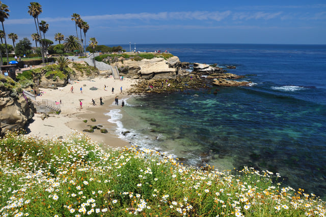 La Jolla Cove Beach San Diego California